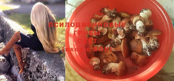 PSILOCYBIN Беломорск